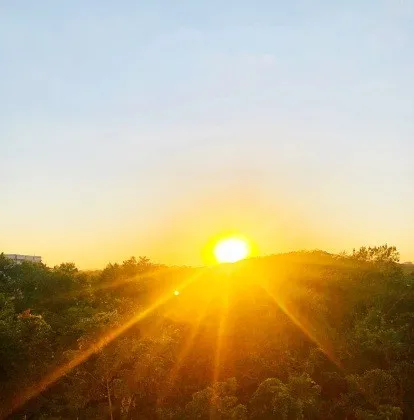 Foto Reprodução